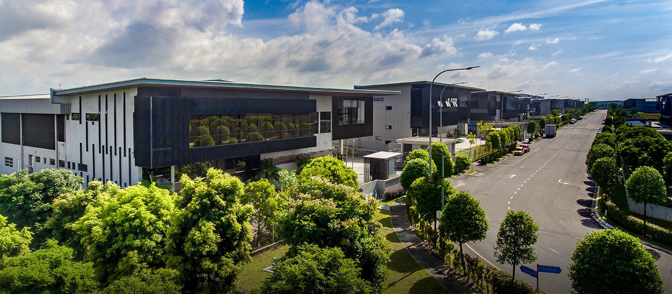 Lush Landscape within Overall Industrial Park Development